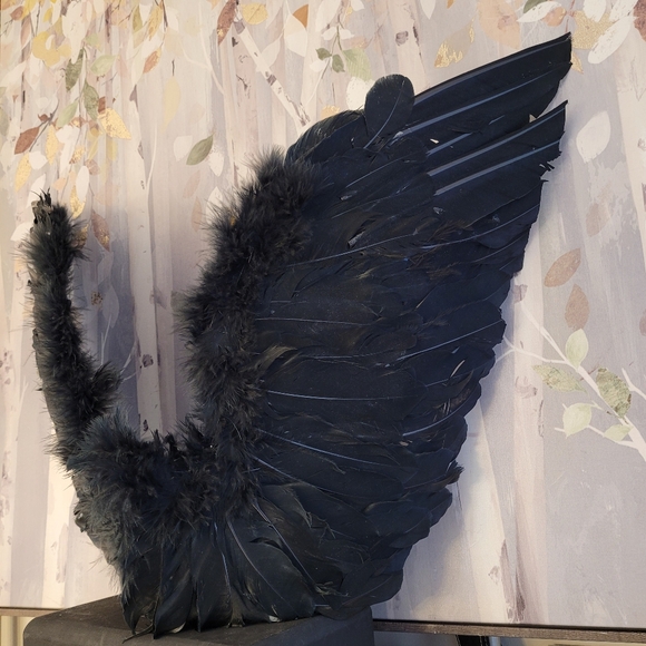 Dark Angel Wings Black Feathers Posable Cosplay Or Display - Picture 2 of 16